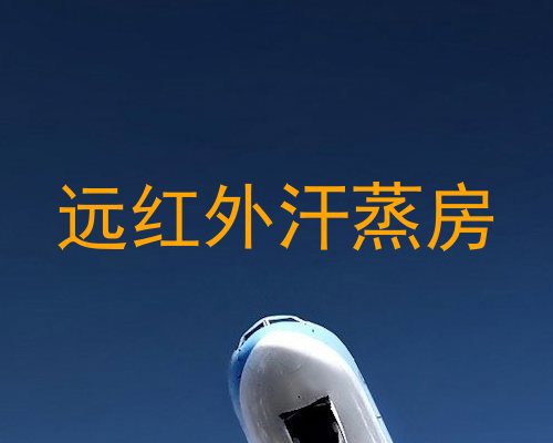 远红外汗蒸房