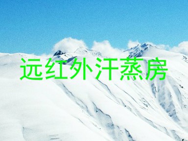 远红外汗蒸房