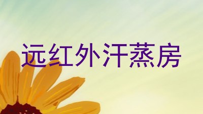 远红外汗蒸房