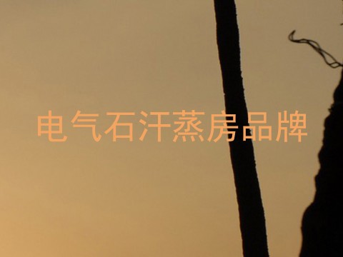 电气石汗蒸房品牌