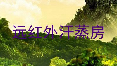 远红外汗蒸房
