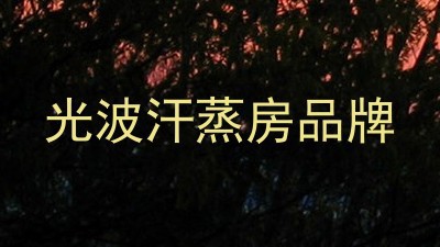 光波汗蒸房品牌