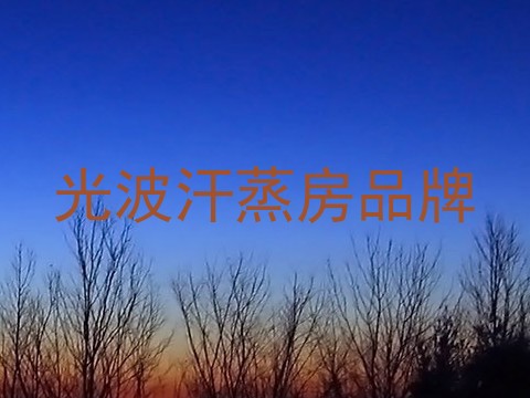 光波汗蒸房品牌