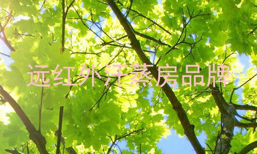 远红外汗蒸房品牌