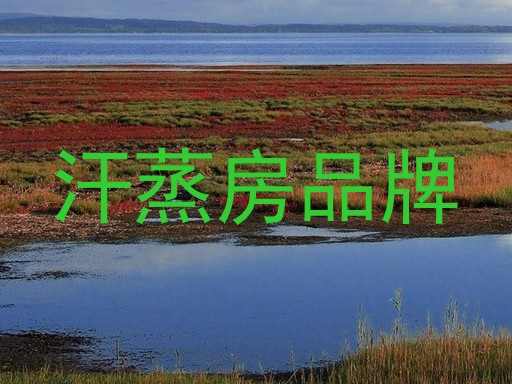 汗蒸房品牌