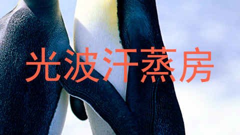 光波汗蒸房