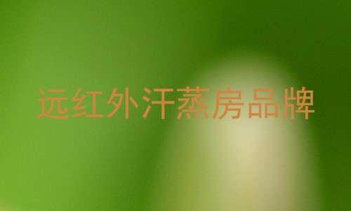 远红外汗蒸房品牌