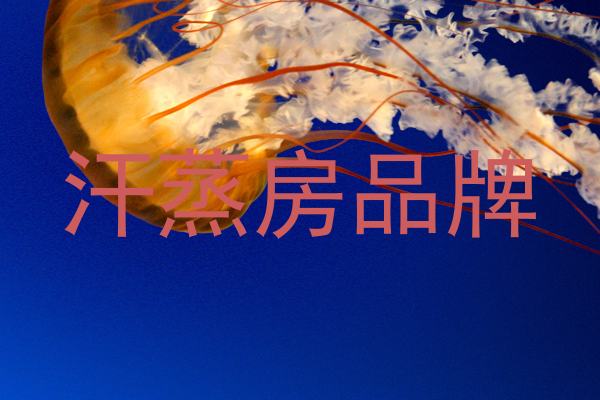 汗蒸房品牌