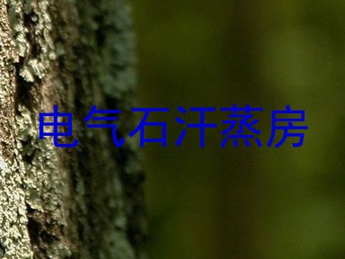 电气石汗蒸房