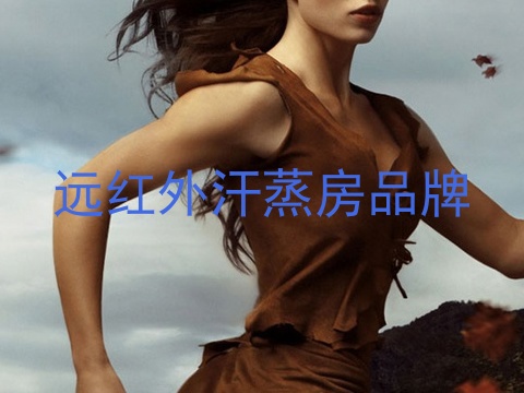远红外汗蒸房品牌