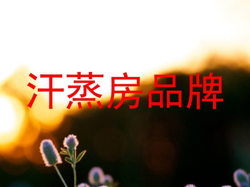 汗蒸房品牌