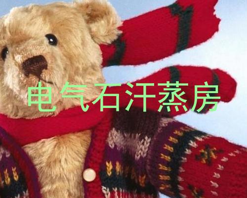 电气石汗蒸房