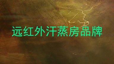 远红外汗蒸房品牌