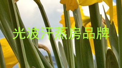 光波汗蒸房品牌