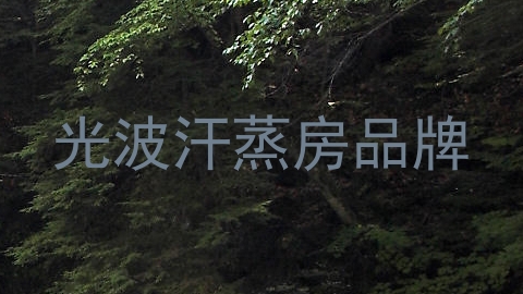 光波汗蒸房品牌