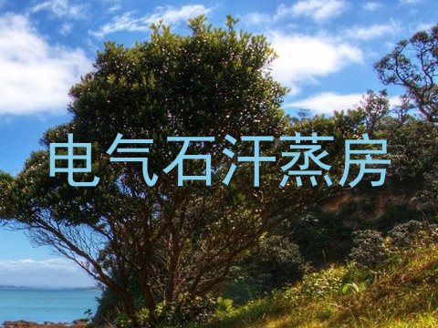 电气石汗蒸房