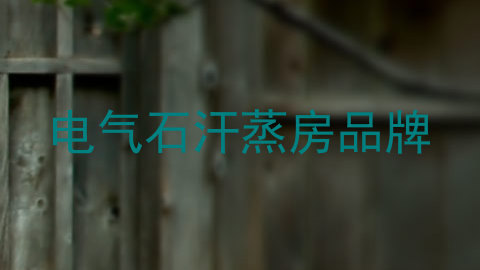 电气石汗蒸房品牌