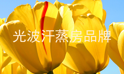 光波汗蒸房品牌
