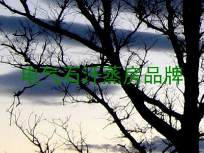 电气石汗蒸房品牌