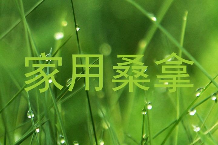 家用桑拿