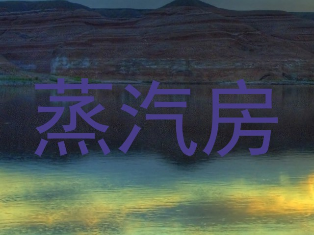 蒸汽房