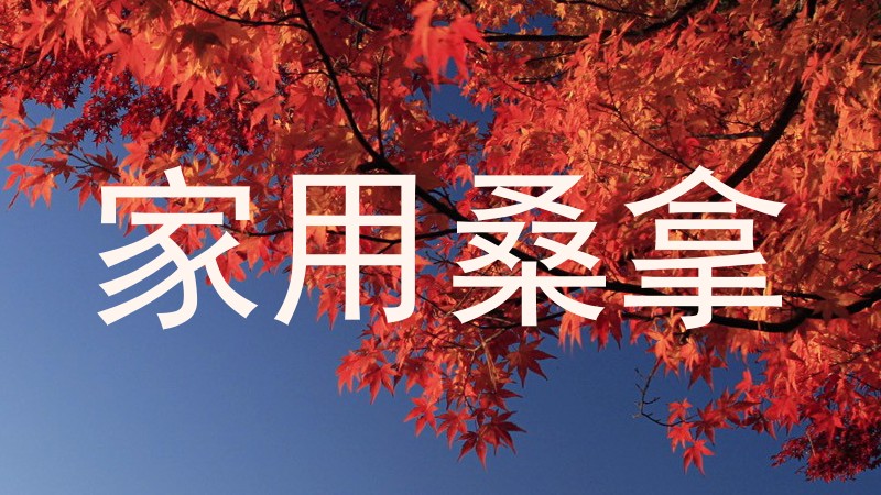 家用桑拿