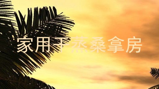 家用干蒸桑拿房