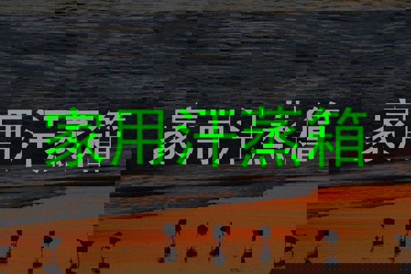 家用汗蒸箱