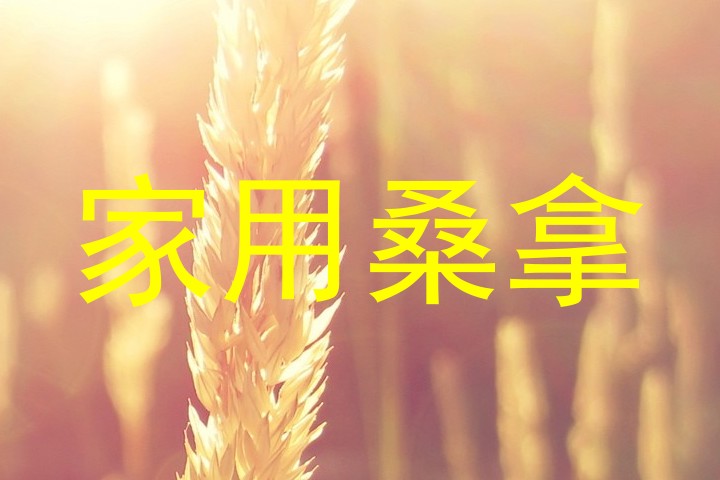 家用桑拿