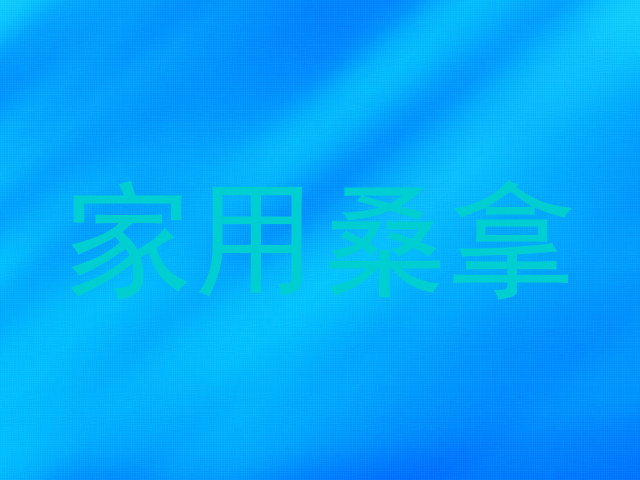 家用桑拿