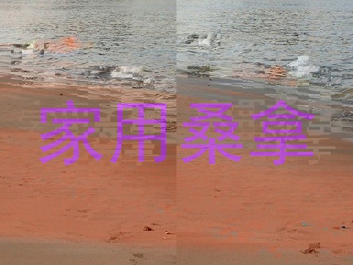 家用桑拿