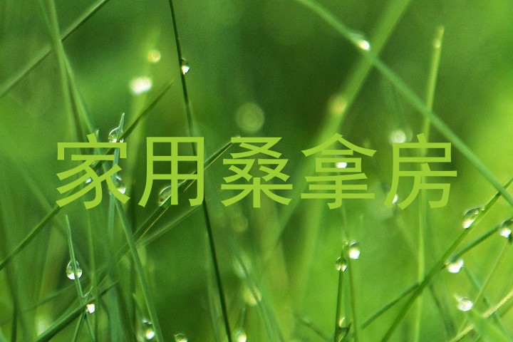 家用桑拿房