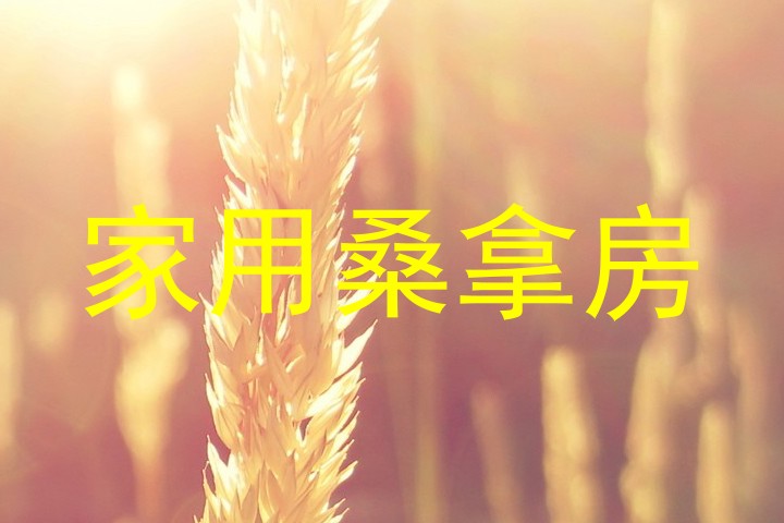 家用桑拿房