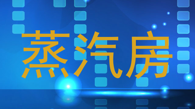 蒸汽房