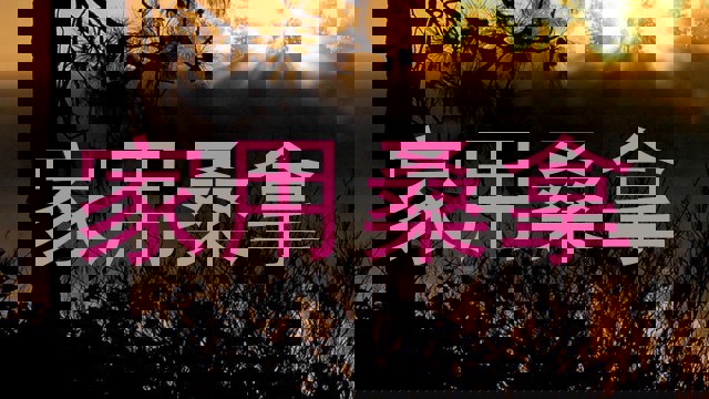 家用桑拿
