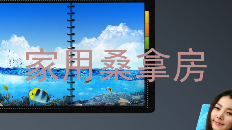 家用桑拿房