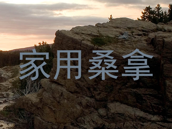 家用桑拿