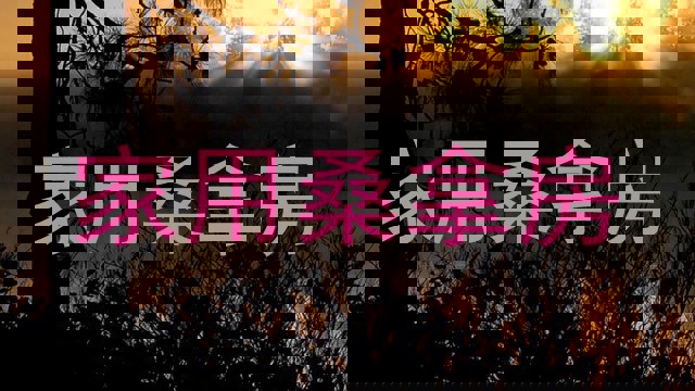 家用桑拿房