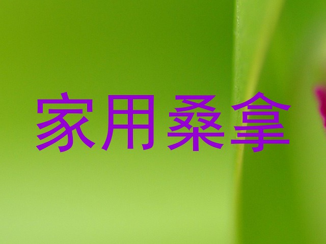 家用桑拿