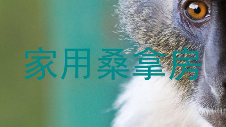 家用桑拿房