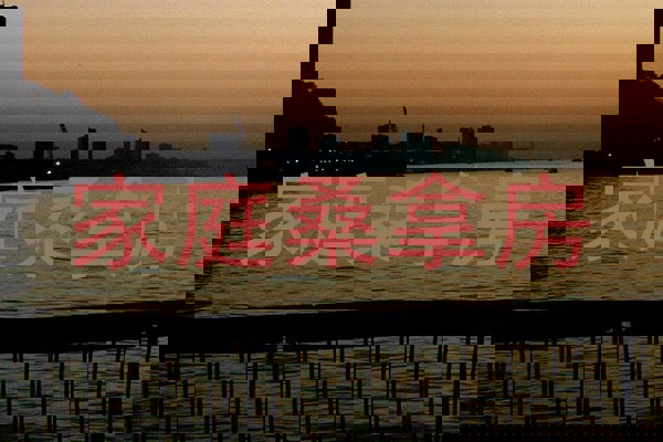 家庭桑拿房