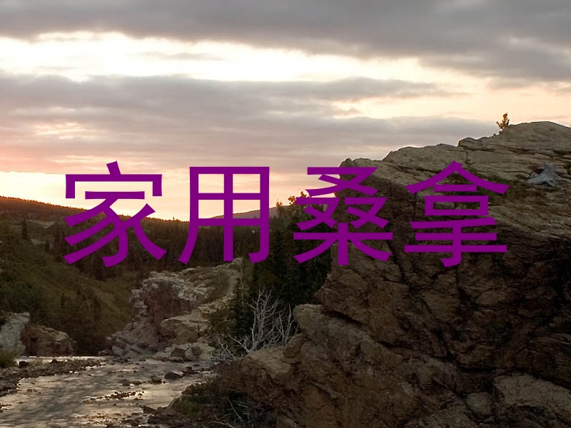 家用桑拿