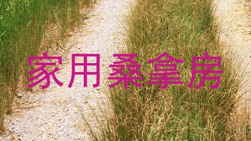 家用桑拿房