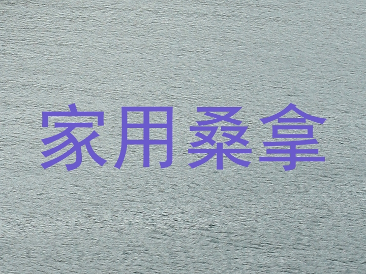 家用桑拿