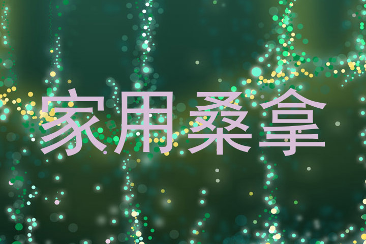 家用桑拿