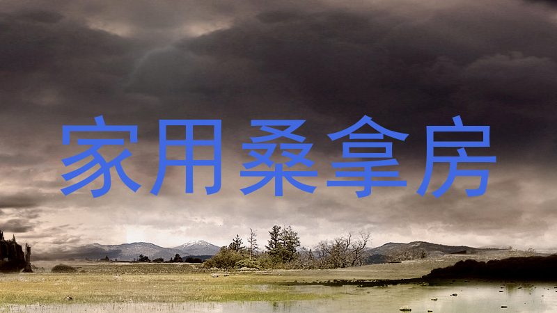 家用桑拿房