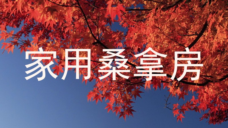 家用桑拿房