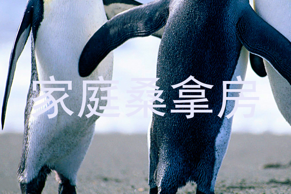 家庭桑拿房