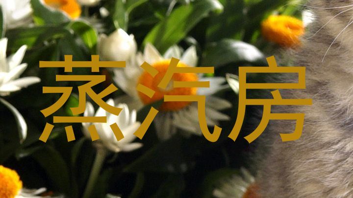 蒸汽房