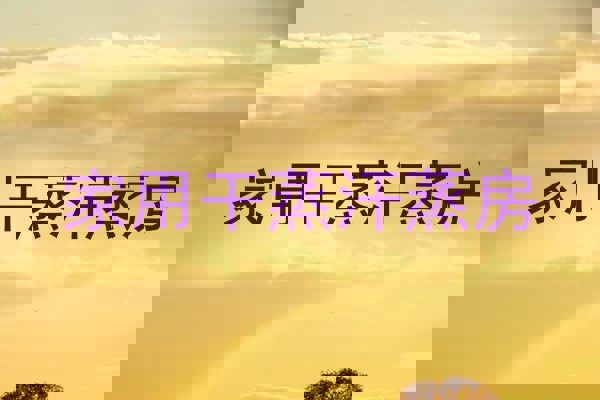 家用干蒸汗蒸房